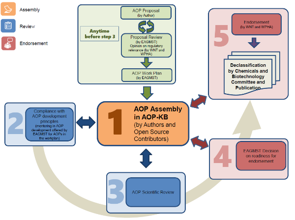 AOP development process